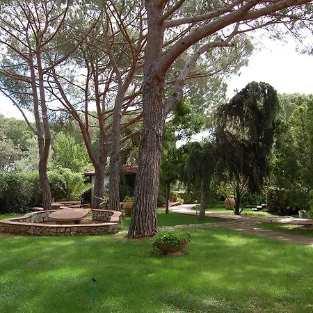 Marelba קאבו